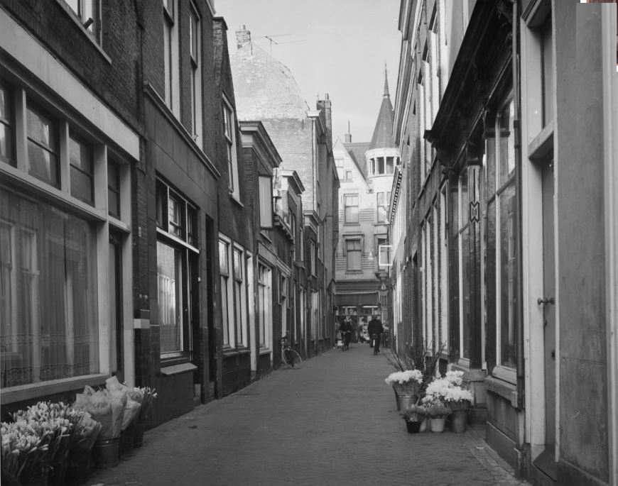 Sint Jorissteeg, richting Hogewoerd.jpg